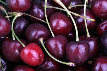 Similar image 21696963