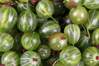 Similar image 21696967