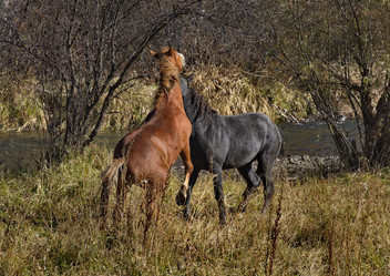 Similar image 21694042