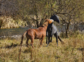 Similar image 21694043