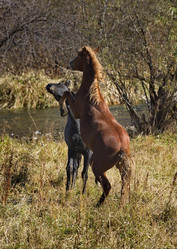 Similar image 21694045