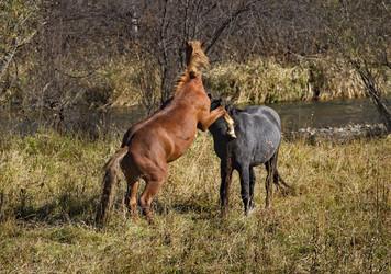 Similar image 21694046