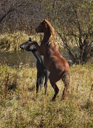 Similar image 21694047