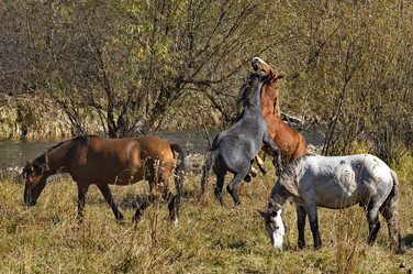 Similar image 21694050