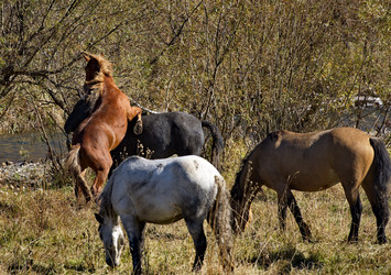 Similar image 21694051