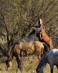 Similar image 21694052