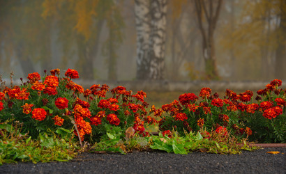 Similar image 21694053