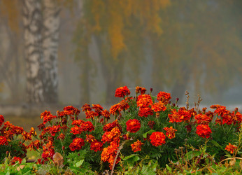 Similar image 21694054