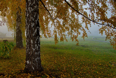 Similar image 21694055