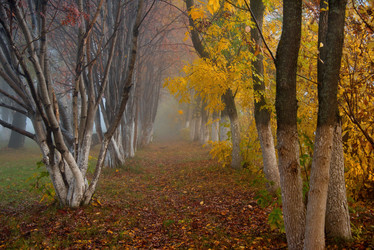 Similar image 21694058