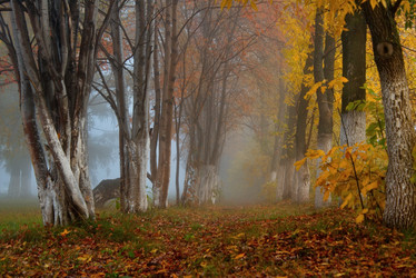 Similar image 21694059