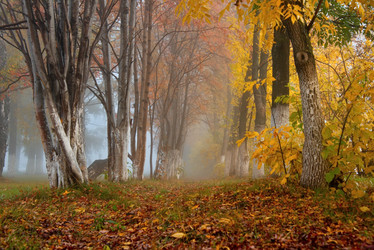 Similar image 21694060