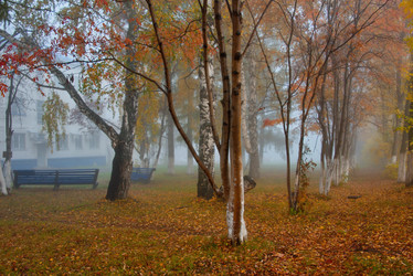 Similar image 21694061