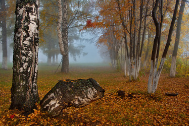 Similar image 21694062