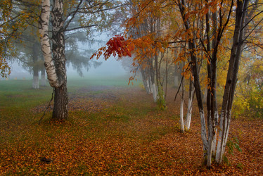 Similar image 21694063