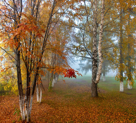 Similar image 21694064