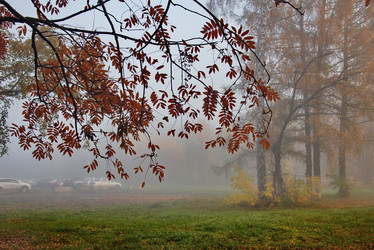 Similar image 21694069