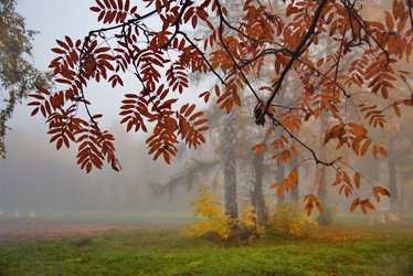 Similar image 21694070