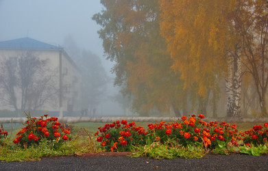 Similar image 21694071