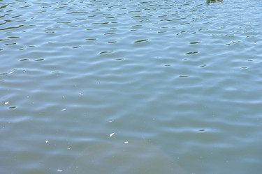 Similar image 21696746