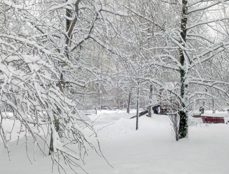 Similar image 21696758