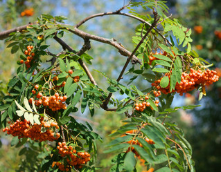 Similar image 21696769