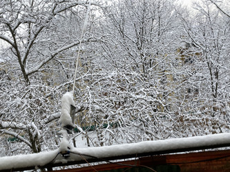 Similar image 21696770