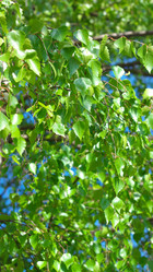 Similar image 21696773