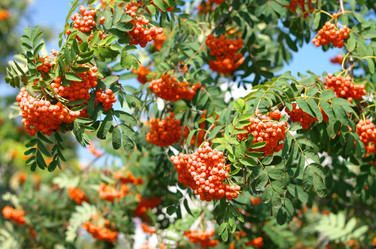 Similar image 21696774