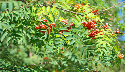 Similar image 21696776