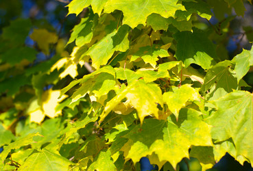 Similar image 21696779