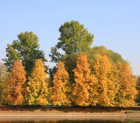 Similar image 21696782