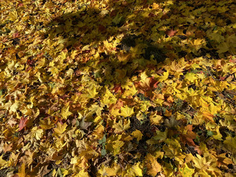 Similar image 21696793