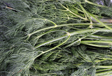 Similar image 21696794