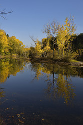 Similar image 21696286