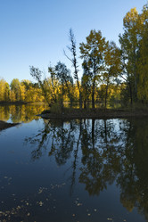 Similar image 21696288