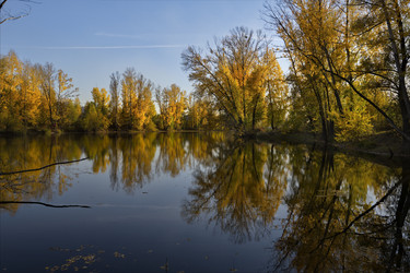 Similar image 21696291