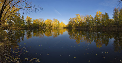 Similar image 21696293