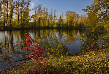 Similar image 21696294