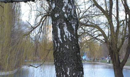 Similar image 21696801