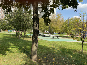 Similar image 21696803