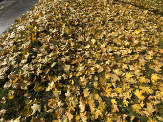 Similar image 21696804