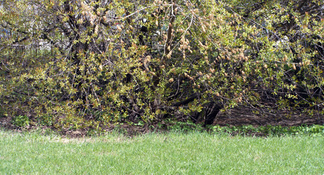 Similar image 21696805