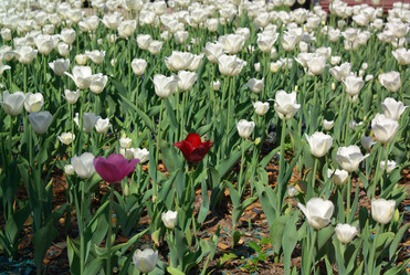 Similar image 21696806