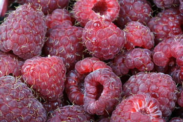 Similar image 21696809