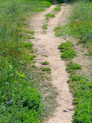 Similar image 21696817