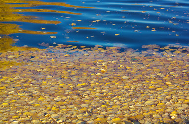 Similar image 21696818