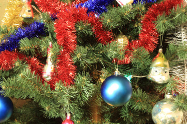 Similar image 21696819