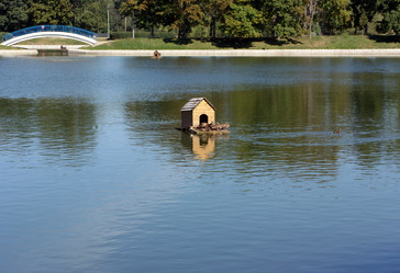 Similar image 21696820