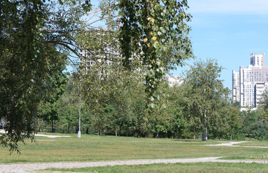 Similar image 21696823